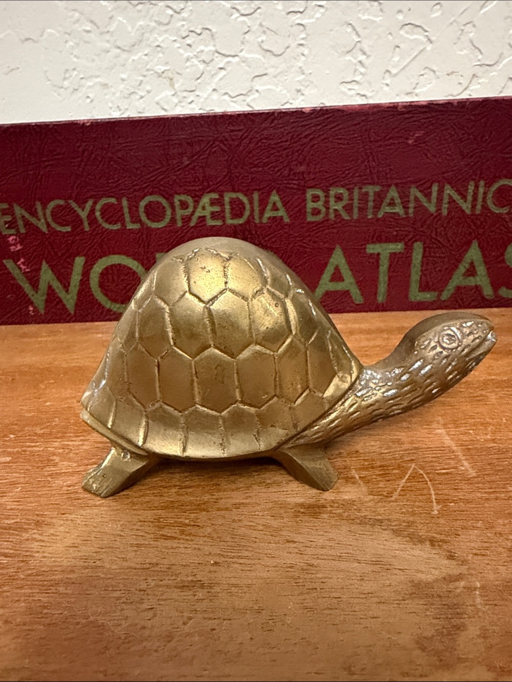 Vintage Turtle Brass Paperweight Home Decor 4 X 3